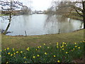 A lake at Stockley Park