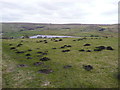 Molehills near Drop Farm, Oxenhope