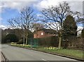 Bus shelter with daffodils