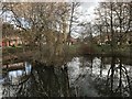 Pond on New Road, Madeley