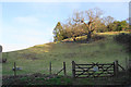 Hillside overlooking Bewdley