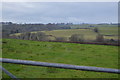 Pasture, the Tavy Valley