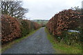 Track to Langsford Barn