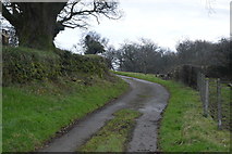 SX5075 : West Devon Way by N Chadwick