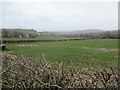 Waterlogged fields, Vearse Farm