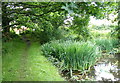 End of the Walton Summit Branch of the Leeds and Liverpool Canal