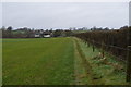SY0088 : Footpath by hedge by N Chadwick