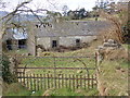 Ruined homestead on the Upper Fathom Road