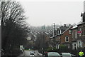 Damp rooftops in Sharrow Vale