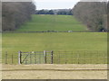 The edge of the Woburn Abbey estate and fields