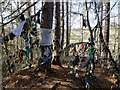 Cloots above Clootie Well, Munlochy