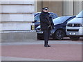 TQ2979 : Unchanging guard, Buckingham Palace by Rudi Winter