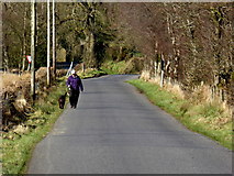 H5270 : Walking the dog, Deroran by Kenneth  Allen