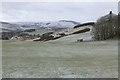 Pasture at Smedheugh