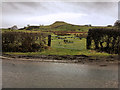 View towards Bowley Hill