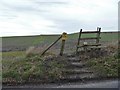 Footpath crosses the road [1]