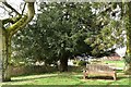 Pencombe Village Green, Herefordshire