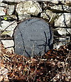 Listed milestone near Tanrhallt