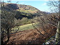 The valley of the Afon Rhaeadr