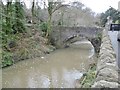 Frenchay Bridge