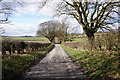 SE9445 : Park Road towards South Dalton Wold by Ian S