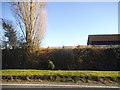 New fence and house extension on The Causeway