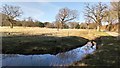 Ditch and Pasture near The Hopleys