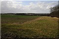 Farmland near Shenningham Farm