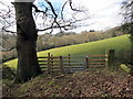 Llwybr ger Coed y Pant / Footpath near Pant Wood