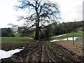 Trac ger Castell Dolforwyn / Track near Dolforwyn Castle