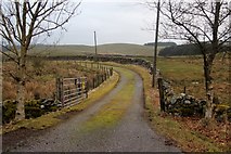 NX7471 : Road to Upper Glenlair by Alan Reid