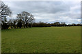 Pasture off Osbaldeston Lane