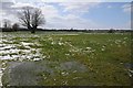 Farmland near Corse Lawn