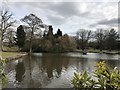 SJ9041 : Lake in Queen's Park, Longton by Jonathan Hutchins