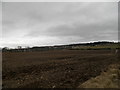 Farmland at  Knocknagael