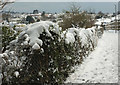 Snowy cycle path near Crownhill Rise