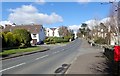 View due North along Tollymore Road, Newcastle