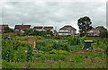 Allotments in Nuneaton, Warwickshire