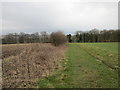 Footpath near Warter