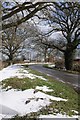 Country road near Camer