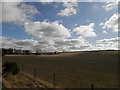 Farmland at Morayston