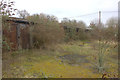 Disused farm buildings off North Downs Way path, Wye