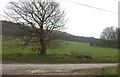 Bench on the road to Crundale