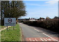 Gwernesney boundary sign, Monmouthshire