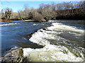 Afon Gwy / River Wye