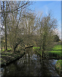 TL4457 : Cambridge: Vicar's Brook in early spring by John Sutton