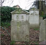 TG2008 : The grave of Fanny Leveton (Feina b Hosea) by Evelyn Simak