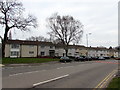 Houses and deciduous trees, Henllys Way, Cwmbran