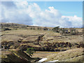 Across valley of Black Burn