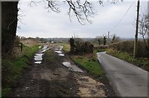 ST9483 : Field gateway in Rodbourne by Philip Halling